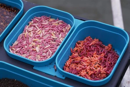 Drennan DMS 1 Pint Modular Bait Seal Box 3 Drennan DMS 1 Pint Modular Bait Seal Box - Afbeelding 3