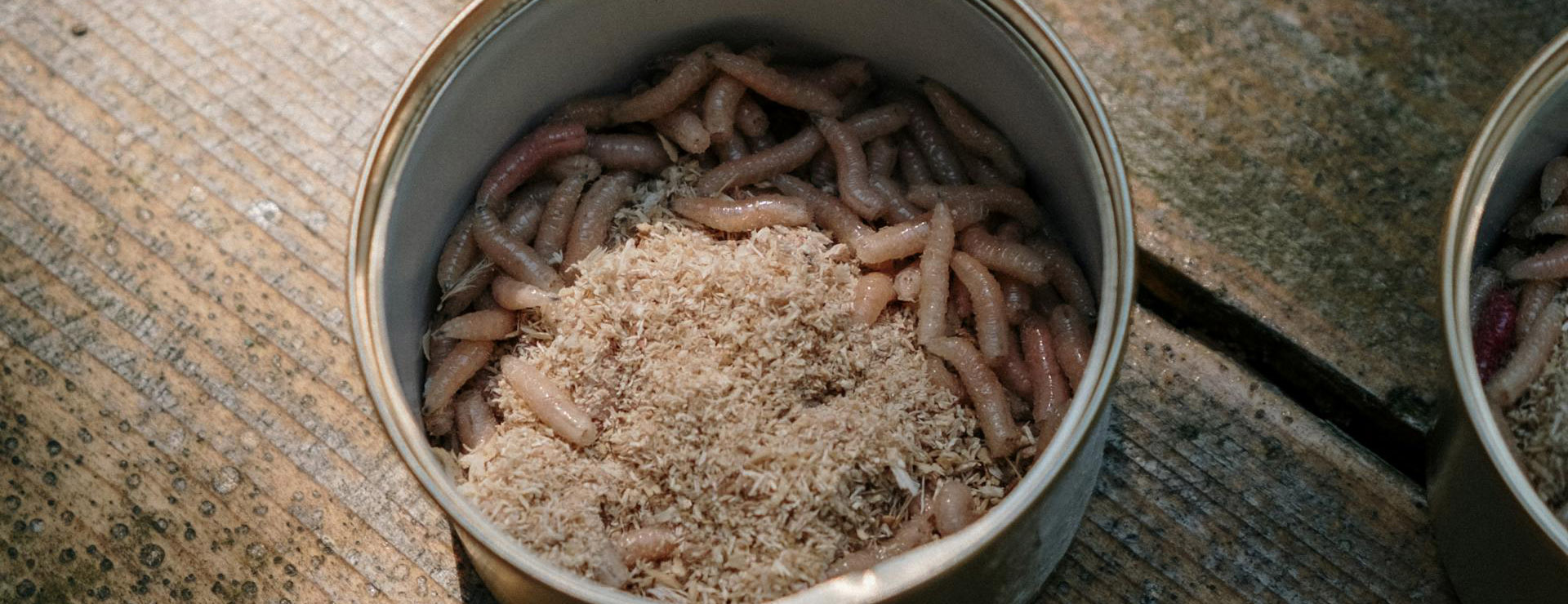 Drennan -Drennan pexels cottonbro 4822286